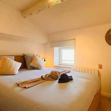 T3 Chaleureux à 250m De La Gare - 10 Min Du Centre Appartement Villefranche-sur-Saône